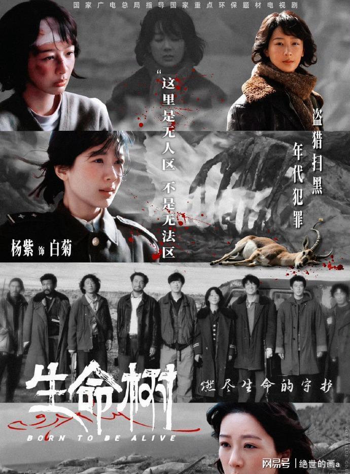 世界杯官网入口-看完《小城大事》再看《生命树》，我只想说：没有对比就没有伤害